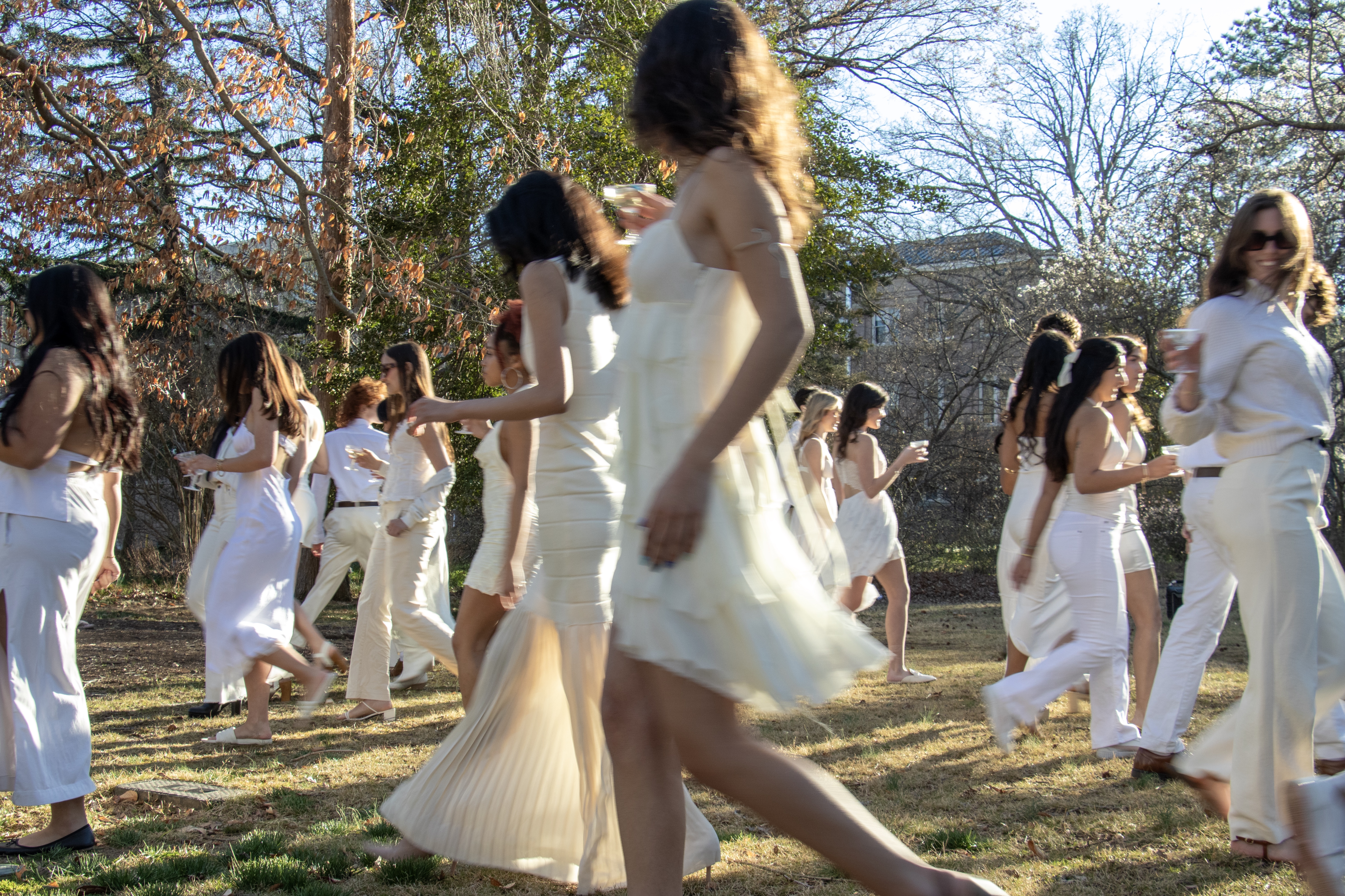 Le Diner En Blanc 3