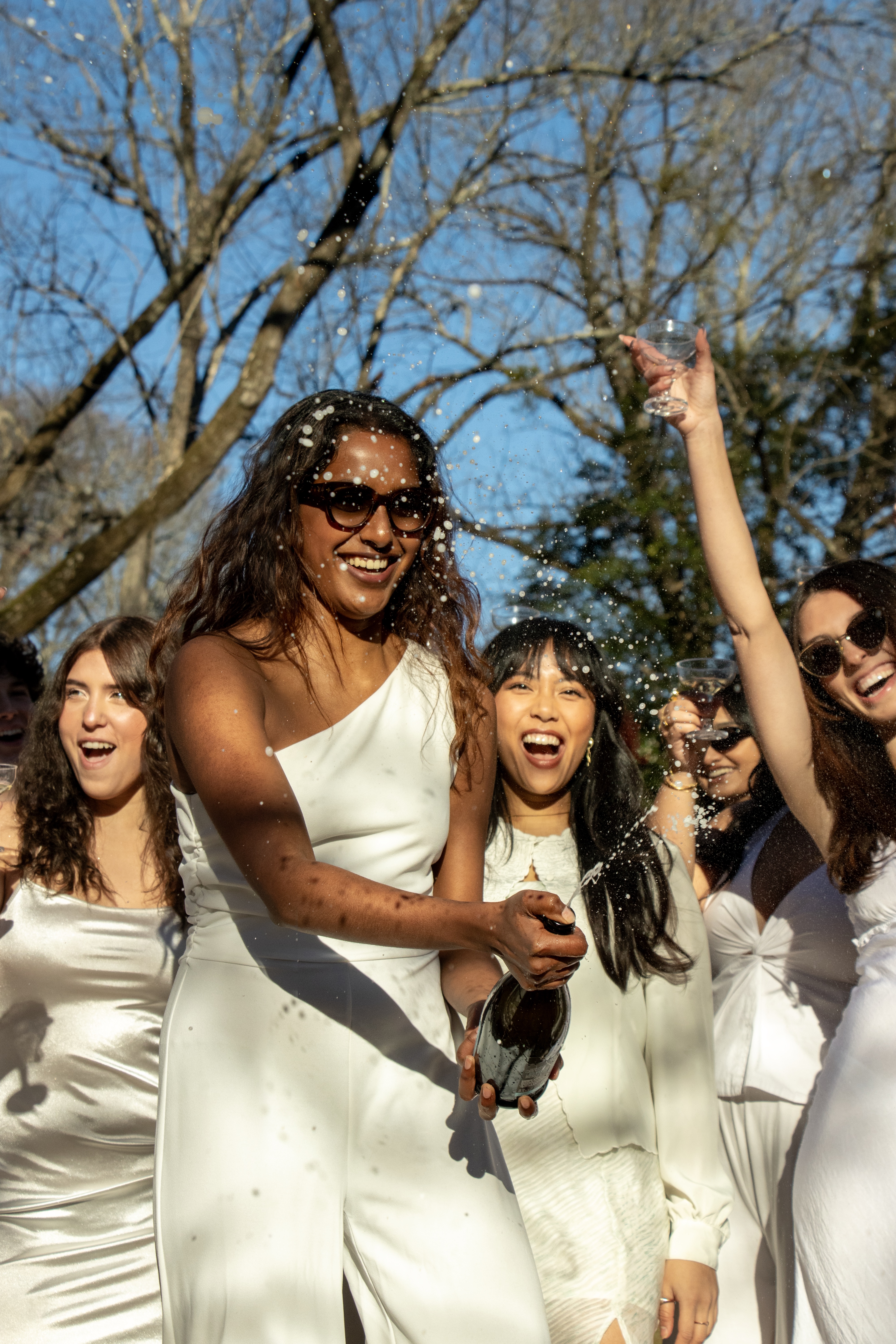 Le Diner En Blanc 5
