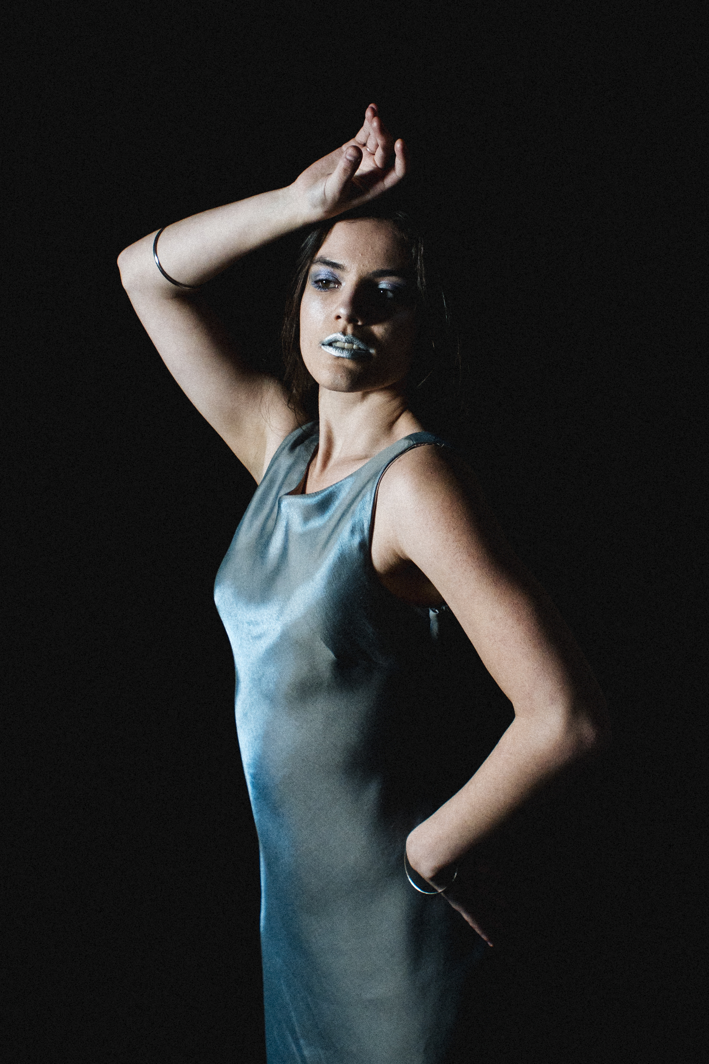 Silver Reverie 5